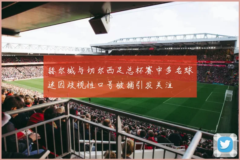 赫尔城与切尔西足总杯赛中多名球迷因歧视性口号被捕引发关注